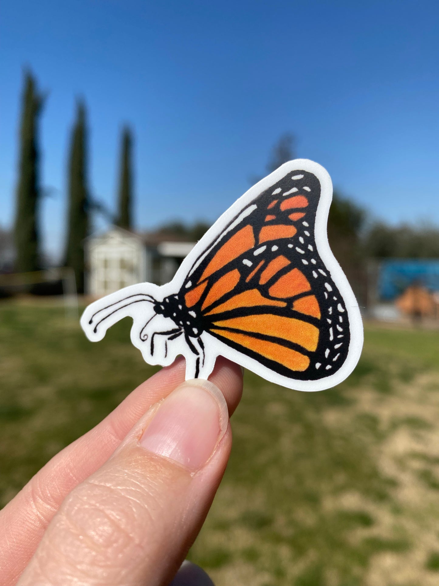 Butterfly Vinyl Decal