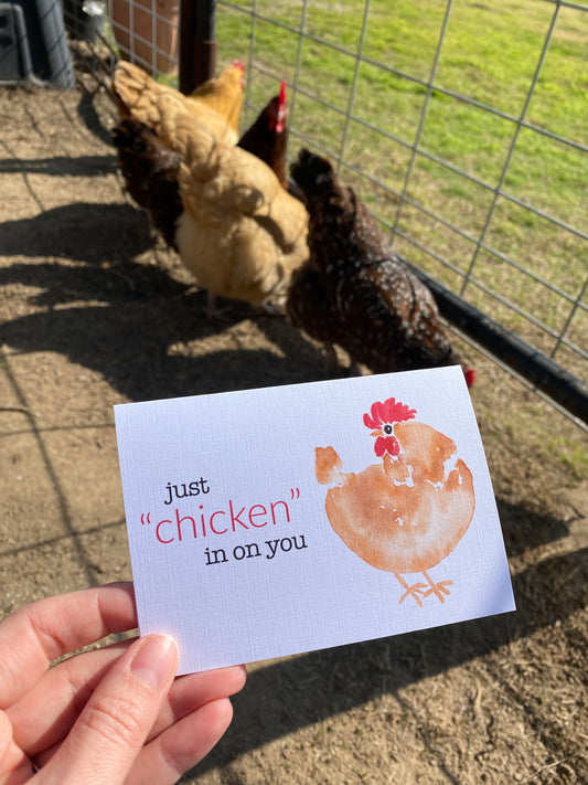 Just 'Chicken' In On You Blank Card (A1)