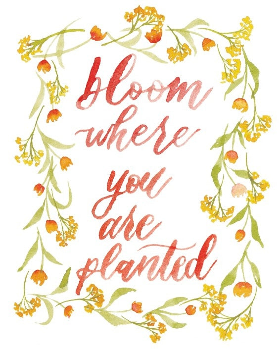 'Bloom Where You Are Planted' Blank Card (A2)